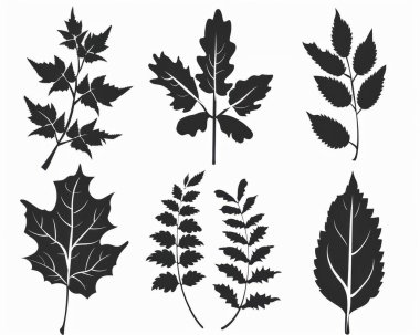 A collection of various leaf silhouettes showcasing unique shapes and textures. clipart