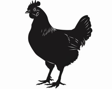 Silhouette of a black hen with detailed feather patterns, showcasing its natural grace and charm. clipart