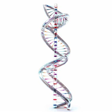 A vibrant, stylized representation of a DNA double helix, symbolizing genetics and biological science. clipart