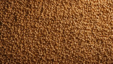 Close-up of golden quinoa grains scattered on a surface. clipart