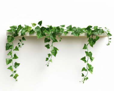 Vibrant green ivy plants cascading over a simple white shelf, creating a fresh and natural ambiance. clipart