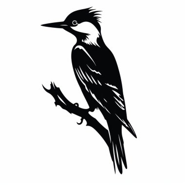 A striking silhouette of a woodpecker perched on a branch, showcasing its distinctive shape and plumage. clipart