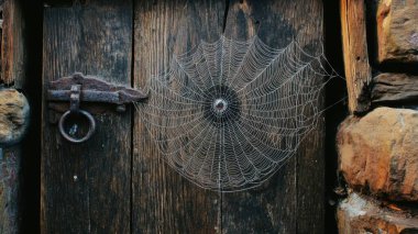 An intricate spider web glistening on an old wooden door with a rustic latch. clipart