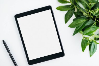 Minimalist Tablet and Pen Mockup on a Clean White Desk with Plant clipart