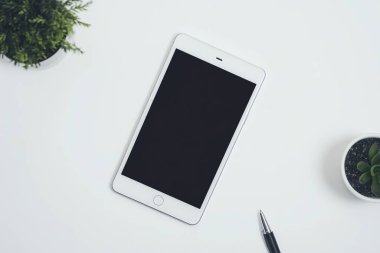 Minimalist Tablet ve Kalem Modeli Bitkili Temiz Beyaz Masa Üzerinde