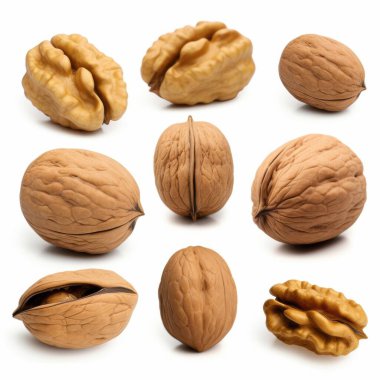 A visually striking arrangement of various walnut types showcasing their unique shapes and textures. clipart