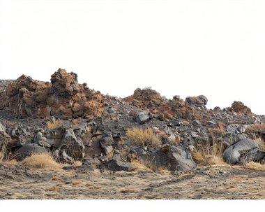 A rugged volcanic landscape showcasing dark, textured lava rocks and sparse vegetation against a pale sky. clipart