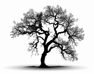 Silhouetted tree with intricate branches against a light background. clipart