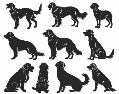 Silhouettes of various golden retrievers showcasing their playful and loyal nature.