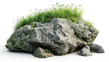 A weathered rock adorned with vibrant green grass, showcasing nature's beauty and resilience. clipart