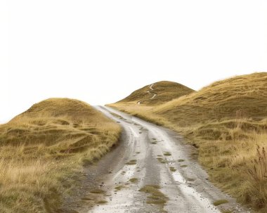 Parlak gökyüzünün altındaki altın çimenli tepelerden geçen sakin toprak bir yol..