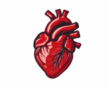 Detailed illustration of a human heart in vivid red, showcasing anatomical features with a bold artistic style. clipart