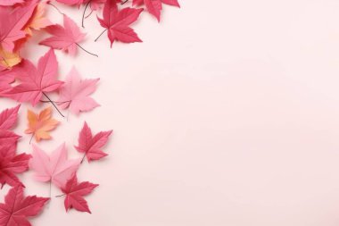 Colorful autumn leaves arranged artistically on a soft pink background. clipart