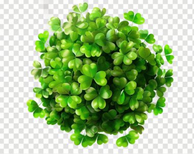 A vibrant cluster of green heart-shaped leaves, symbolizing luck and prosperity. clipart