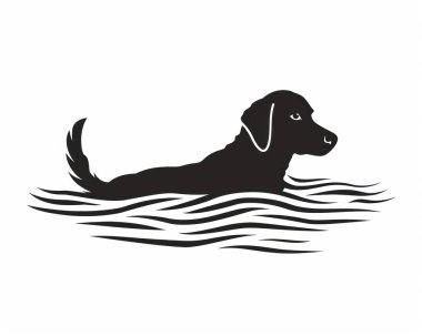 A beautifully depicted black Labrador retriever swimming gracefully in water. clipart