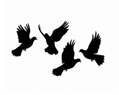 Silhouetted birds in flight against a light background, showcasing graceful movements and dynamic poses. clipart