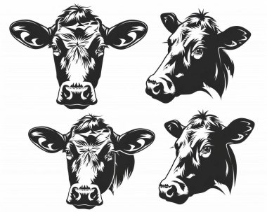 Four artistic black and white cow head illustrations showcasing different expressions. clipart