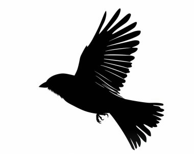 Silhouette of a bird in flight with elegantly spread wings against a white background. clipart