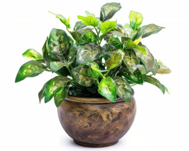 A lush green potted plant featuring vibrant leaves in a decorative clay pot. clipart