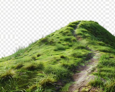 A serene green hill with lush grass and a winding path leading to the top. clipart