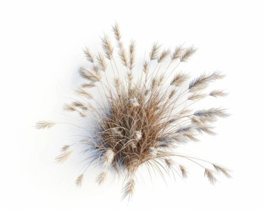 A lush cluster of golden grass, beautifully arranged against a stark white background. clipart