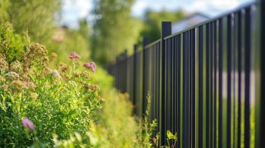 green fence with a blurred background