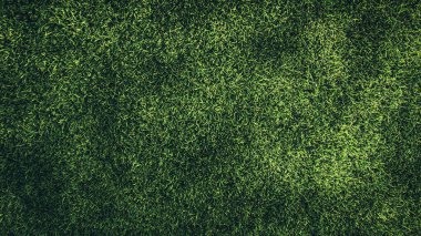 background of green grass texture.