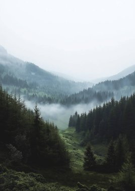 Dağları ve ağaçları olan güzel bir manzara.