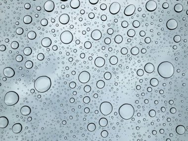 Close-up of water droplets on a glass surface in soft natural light. clipart