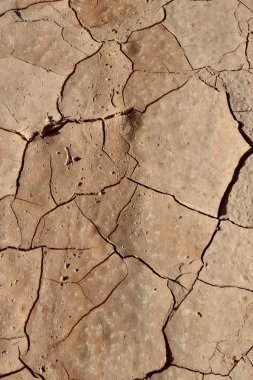 Close-up of cracked earth showcasing dry soil patterns and textures. clipart