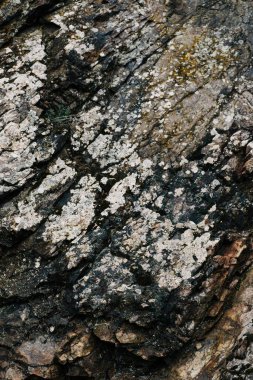 Close-up of textured rock surface with lichen patterns and earthy tones. clipart