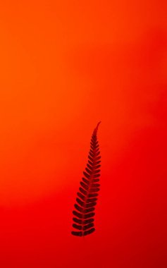 A solitary fern leaf silhouetted against a vibrant orange background. clipart