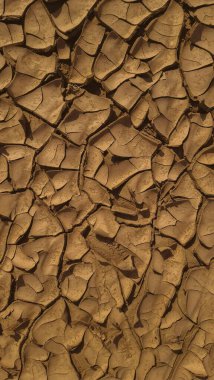 Close-up of dry, cracked earth showcasing intricate patterns and textures. clipart