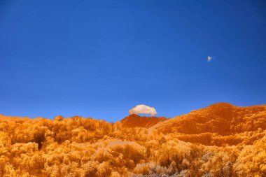 Stunning landscape with vivid orange foliage and a bright blue sky. clipart