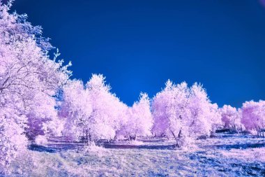 Surreal landscape featuring vibrant pink trees and a clear blue sky. clipart