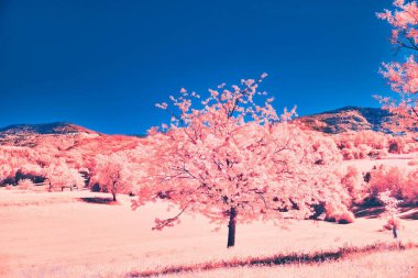 Vibrant pink tree stands under a deep blue sky in an enchanting landscape. clipart