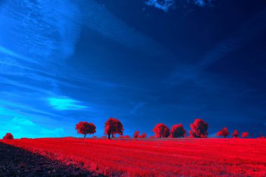 A vivid red field under a striking blue sky with silhouetted trees. clipart