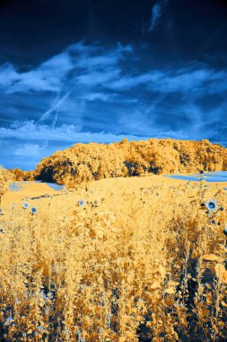 A surreal landscape with golden hues and a vivid blue sky. clipart