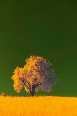 A solitary golden tree against a dramatic green sky. clipart