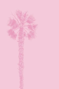 Stylized pink palm tree silhouette against a soft pink background. clipart