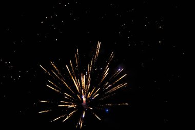 Colorful fireworks bursting against a dark night sky. clipart