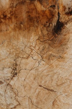 Close-up of beautifully textured wood surface with rich brown patterns. clipart