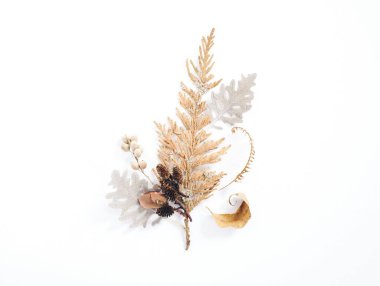 A serene arrangement of dried autumn leaves and ferns on a white background. clipart