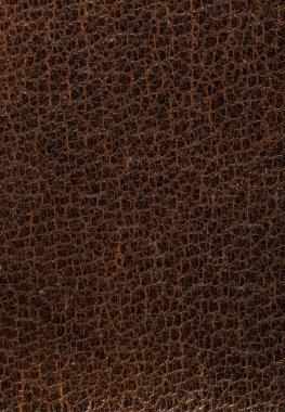 Close-up of rich brown leather texture with intricate detailing. clipart