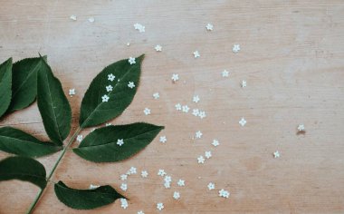 Green leaves and delicate white flowers on a wooden surface.