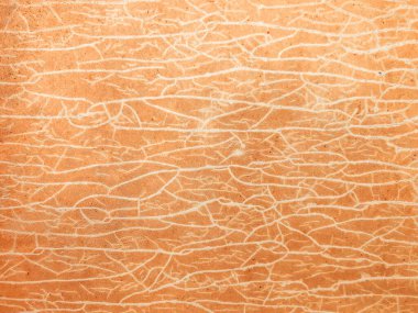 Close-up of textured natural paper with intricate white veining. clipart