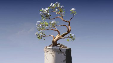 A striking artistic bonsai tree blooming with white flowers atop a stone pedestal. clipart