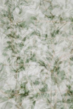 Abstract composition of overlapping green leaves in soft focus. clipart