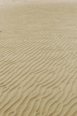 Textured golden sand with gentle ripples under soft natural light. clipart