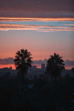 Stunning sunset over the city skyline with palm silhouettes. clipart